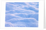 Snow by Assaf Frank